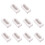 20St Cupcake Container Wit Met , Schokdempende Papieren Box 10