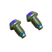 2PCS for  TC4 Titanium Hydraulic Disc Exhaust Screw Mountain Bike Brake Screw-Dazzling Colors