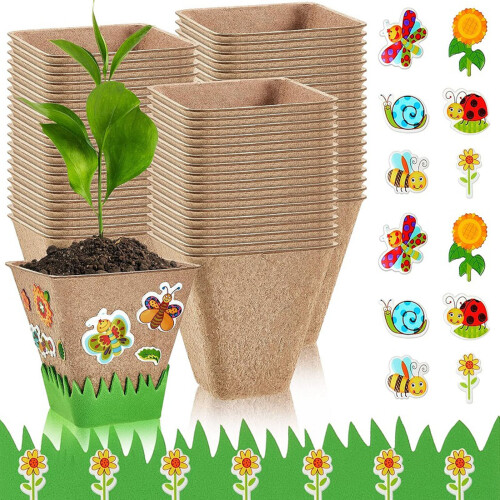 (Large size 8*8cm) 50PCS Biodegradable Plant Pots for Garden/Herbs 1