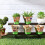 (Large size 8*8cm) 50PCS Biodegradable Plant Pots for Garden/Herbs 3