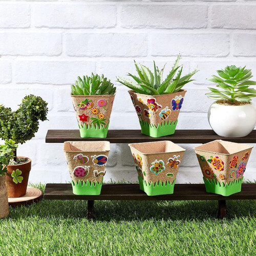 (Large size 8*8cm) 50PCS Biodegradable Plant Pots for Garden/Herbs 2
