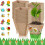 (Large size 8*8cm) 50PCS Biodegradable Plant Pots for Garden/Herbs 4
