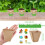(Large size 8*8cm) 50PCS Biodegradable Plant Pots for Garden/Herbs 5