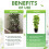 8 Pieces Moss Pole Coir Moss Pole Stick Stackable Plant Stakes Monstera Plant Support Plastic Sphagnum Moss Pole 3