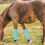 4Pcs Lightweight Horse Mesh Fly Boots Protective Leg Wraps for Riding 5