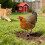 Weather-Resistant Acrylic Chicken Yard Decor 1