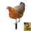 Weather-Resistant Acrylic Chicken Yard Decor 6
