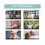 2024 Herbal Lung Cleansing Spray 4