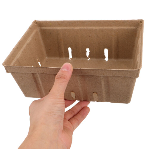 20St Vented Pulp Bessenmand Materiaal Voor Fruit Plukken 2