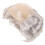 Witte Balding Pruik Comfortabel Realistisch 1