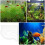 Fish Tank Corner Storage Rack Betta Accessories Aquarium Accessory 5