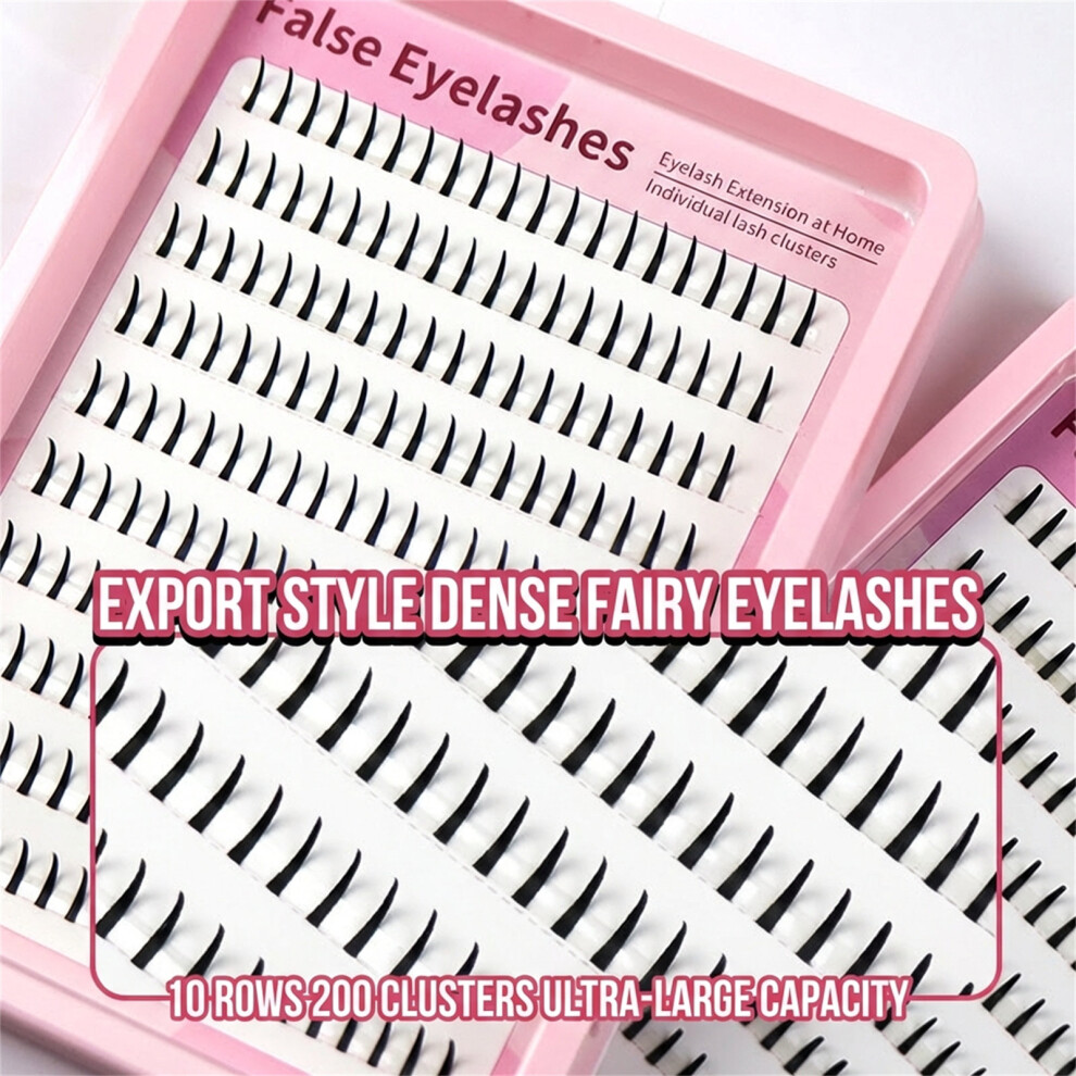 Dachuang Beauty Black (C Curl 10Mm) False Eyelashes C/D Curl Natural Look