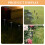 12 Pcs Solar Ground Pole Landscape Light Stakes Yard For Decorations 4