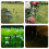 12 Pcs Solar Ground Pole Landscape Light Stakes Yard For Decorations 6