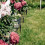 12 Pcs Solar Ground Pole Landscape Light Stakes Yard For Decorations 10