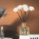 10Pièces Bâtons Diffuseur Polyester Noir Décor Maison 4