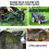 Rubber Garden Weed Scraper - Durable Outdoor Tool 2