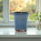 Handcrafted Ceramic Succulent Pot with Drainage 3