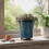 Handcrafted Ceramic Succulent Pot with Drainage 5
