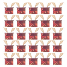 Geschenkverpackungen für Hochzeiten, Geburtstage und Partys – auslaufsicherer, dicker Karton, hübsche Formen, Premium-Qualität, reisetauglich,