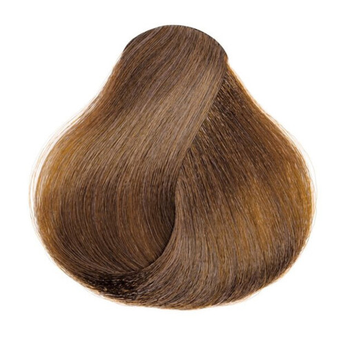 Loreal Excellence Hicolor H3 Soft Brown 1.74 oz 2