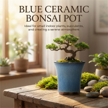 Handcrafted Ceramic Succulent Pot with Drainage