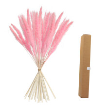 Romantic Atmosphere Wedding Décor Fluffy Dried Pampas Grass Feathery Plumes Airy Feel Farmhouse Flower Arrangements Unique Natural Product Energy