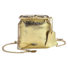 (Gold) Style Clutch Bag Adjustable Shoulder Strap Multi Compartment Waterproof Compact Essential Organizers  Silver