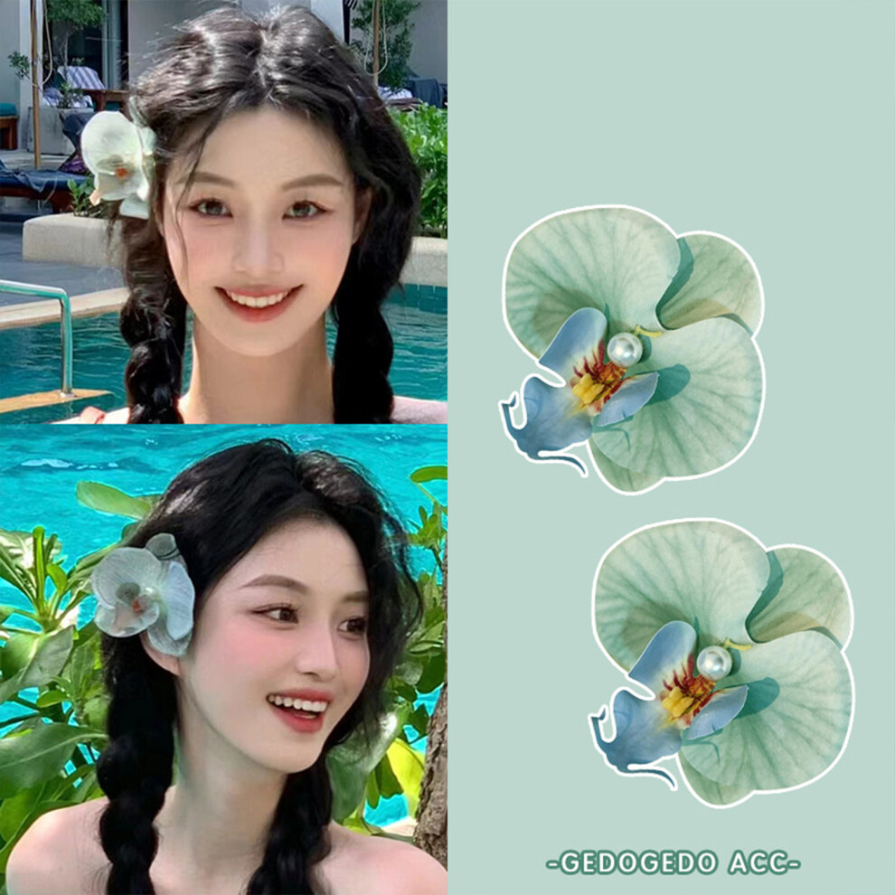 Roc-Electron (1) Elegant Orchid Hair Clips For Thick Hair