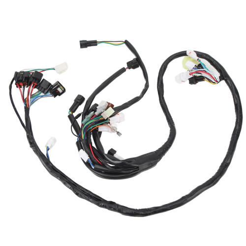 Kabelbaum für Yamaha Raptor 660 YFM660R 2002-2004