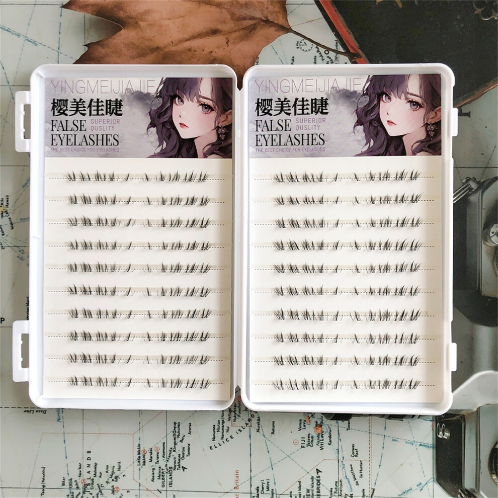 Dachuang Beauty (20 Rows 200 Clusters) Realistic Cat Whisker Lashes For Eye Makeup