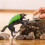 Schleich Figur - SCHLEICH - 70153 - Steinwolf - ELDRADOR CREATURES - 9 x 14 x 7 cm 2