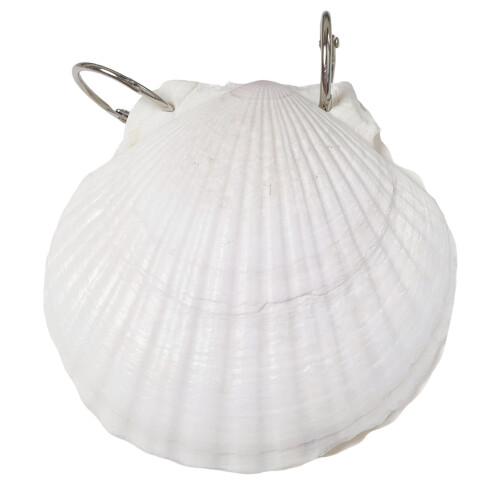 (50pcs) Ocean Shell Hardcover Notebook - Daily Journal 1