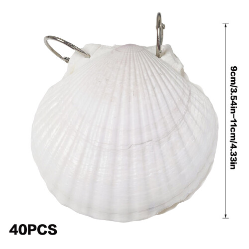(40 photos) Ocean Shell Hardcover Notebook - Daily Journal 2