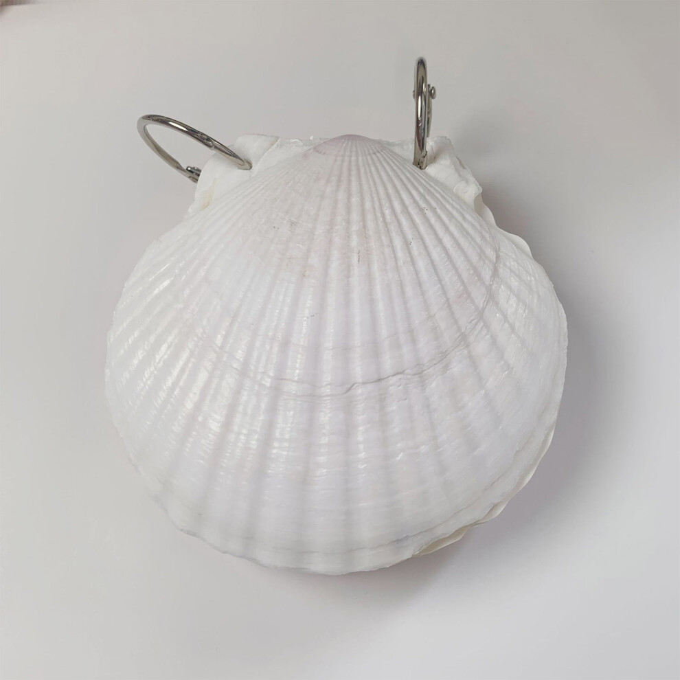 (30 photos) Cute Shell Shaped Daily Notebook Hardcover Ocean Series Daily Notebook for Writing Journal Notebook-image-OPC-PX7PGFG-NEW