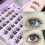 (02) Glue-free Cosplay Eyelash Clusters 1