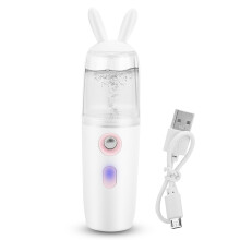 Battery Powered Face Humidifier With USB Charging, Nano Water Replenishment Facial Mister Ideal For Easy To Carry Skincare Routine