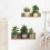 (THA2360) Waterproof PVC Plant Pot Wall Stickers 3