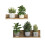 (THA2360) Waterproof PVC Plant Pot Wall Stickers 4