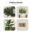 (THA2360) Waterproof PVC Plant Pot Wall Stickers 10