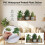 (THA2360) Waterproof PVC Plant Pot Wall Stickers 11