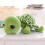 Groene schildpad knuffel met grote ogen 5