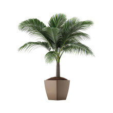(THA1046) Waterproof PVC Plant Pot Wall Stickers