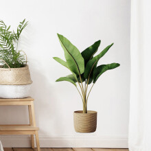 (THA1271) Waterproof PVC Plant Pot Wall Stickers