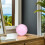 Pink Resin Clear Balls for Juggling Circus Stage Performance 5