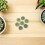 100Pièces Supports Tiges Fleurs Vert En Plastique Stable 6