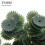 100Pièces Supports Tiges Fleurs Vert En Plastique Stable 7