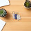 Pet Hair Storage Keychain Keeps Pet Memory Close 3pcs 5