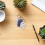 Pet Hair Storage Keychain Keeps Pet Memory Close 3pcs 7
