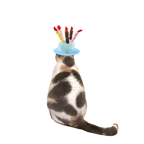 Dog Birthday Cake Hat Model: Adjustable Size Blue